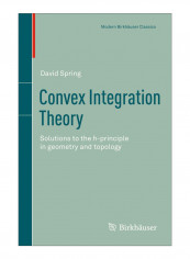 Convex Integration Theory Paperback Reprint of the 1998 Edition
