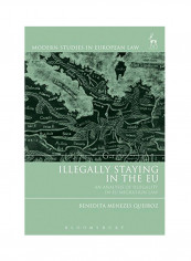 Illegally Staying In The EU: An Analysis Of Illegality In EU Migration Law Hardcover