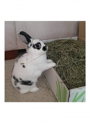 Timothy Hay 2nd Cutting Green 4.53kg