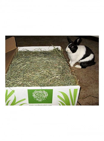 Timothy Hay 2nd Cutting Green 4.53kg