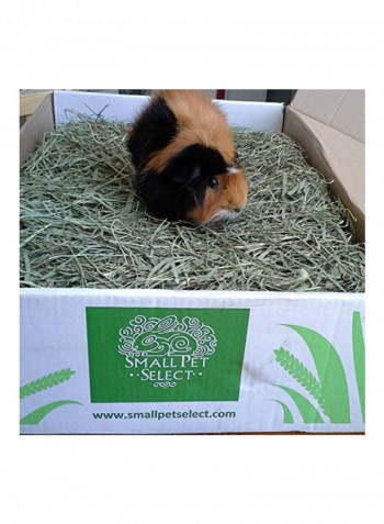 Timothy Hay 2nd Cutting Green 4.53kg