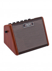 Portable Acoustic Guitar Amplifier With Microphone
