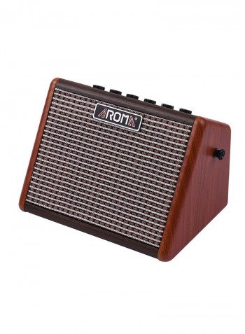 Portable Acoustic Guitar Amplifier With Microphone