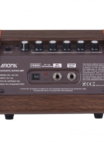Portable Acoustic Guitar Amplifier With Microphone