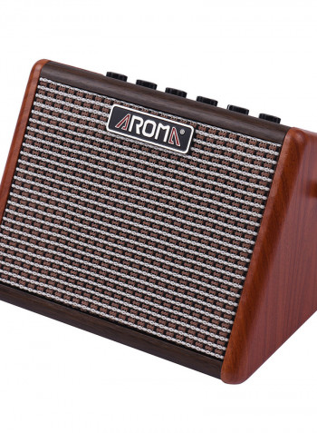 Portable Acoustic Guitar Amplifier With Microphone