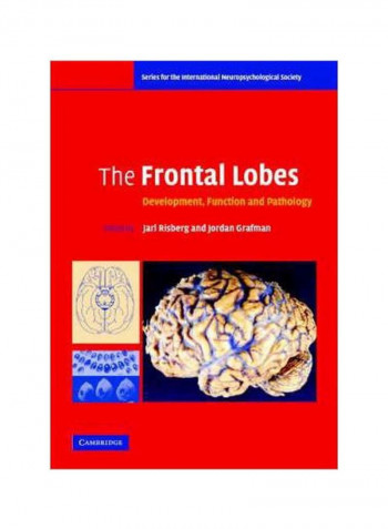 The Frontal Lobes: Development, Function And Pathology Paperback