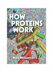 How Proteins Work Paperback