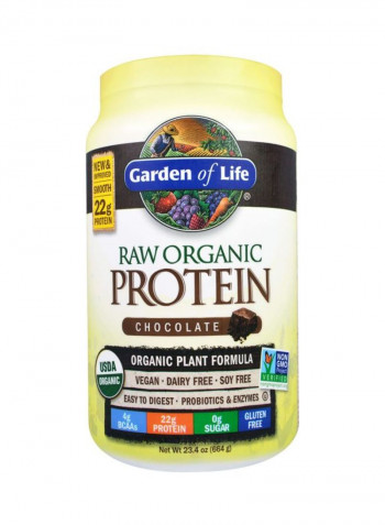 Raw Organic Protein - Chocolate
