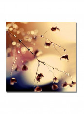 Summer Concert Canvas Wall Art Multicolour 24 x 24inch