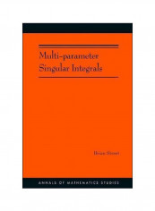 Multi-Parameter Singular Integrals : Anals Of Mathemetics Studies Volume I Paperback