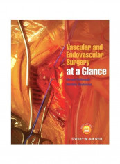 Vascular And Endovascular Surgery At A Glance Paperback