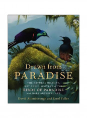 Drawn From Paradise: The Natural History, Art And Discovery Of The Birds of Paradise With Rare Archival Art Hardcover