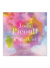 A Spark Of Light Audio Book