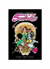 Swords Of Swashbucklers Hardcover English by Bill Mantlo - 20 March 2018