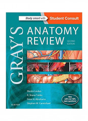 Grays Anatomy Review Paperback 2