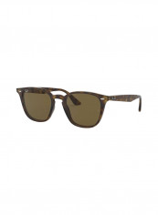 Propionate Wayfarer Sunglasses - Lens Size: 50 mm