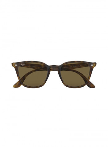 Propionate Wayfarer Sunglasses - Lens Size: 50 mm