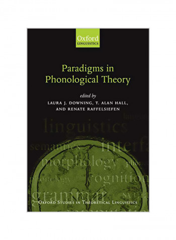 Paradigms in Phonological Theory Paperback