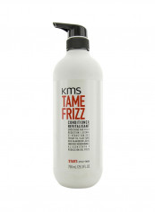 Tame Frizz Conditioner (Smoothing and Frizz Reduction) 750مل