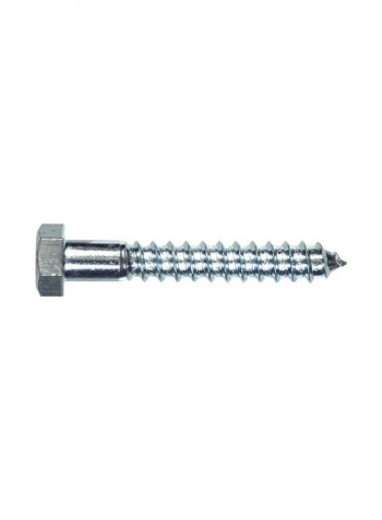 25-Piece Hex Lag Screws Silver 0.625x6inch