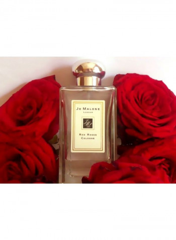 Red Roses Cologne 100ml