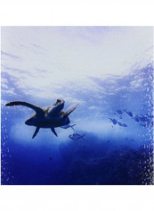 Pacific Sea Turtle Themed Decorative Tile Multicolour