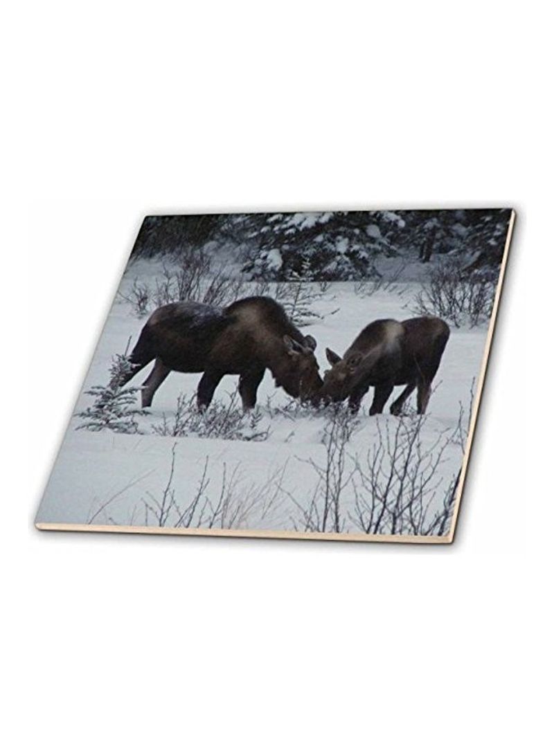 Moose Cow And Calf Eating Winter Branches Ceramic Tile Multicolour 12 x 12inch