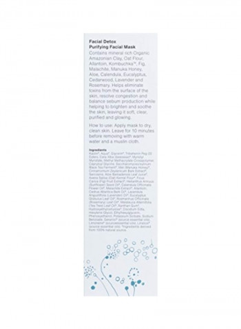 Facial Detox Purifying Facial Mask 2.5ounce