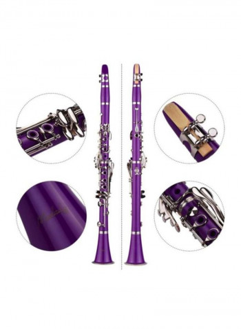 17-Key Clarinet And Accessories