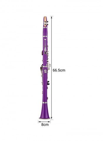 17-Key Clarinet And Accessories