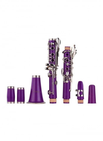 17-Key Clarinet And Accessories