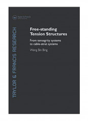 Free-Standing Tension Structures Paperback 1st Edition