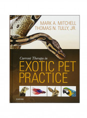 Current Therapy In Exotic Pet Practice Hardcover