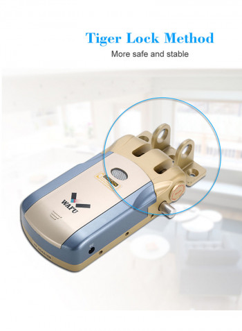 Wireless Smart Remote Control Electronic Lock Keyless Entry Door Lock Multicolour 1.076kg