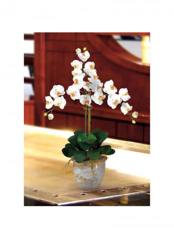 Phalaenopsis Artificial Triple With Flowerpot White/Yellow/Green