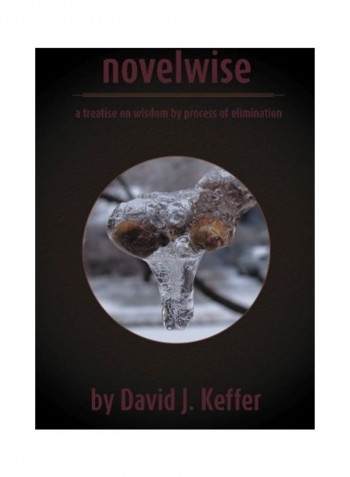 Novelwise: A Treatise On Wisdom By Process Of Elimination Paperback English by David J. Keffer