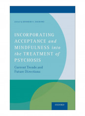 Incorporating Acceptance And Mindfulness Into The Treatment Of Psychosis Hardcover