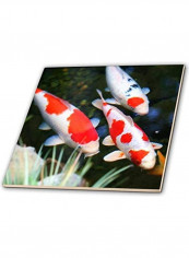 Koi Fish Themed Decorative Tile Multicolour reviews Koi Fish Themed Decorative Tile Multicolour