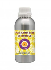 Pure Carrot Seed Essential Oil 300ml reviews Pure Carrot Seed Essential Oil 300ml