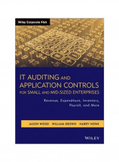 It Auditing And Application Controls For Small And Mid-Sized Enterprises: Revenue, Expenditure, Inventory, Payroll And More Hardcover