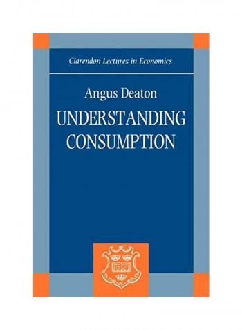 Understanding Consumption Paperback