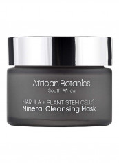 Mineral Cleansing Mask, 1.7 ounce 1.7ounce