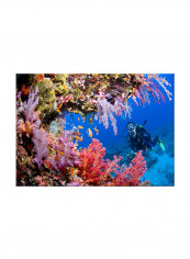 Underwater Canvas Painting Blue 70x50centimeter