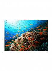 Underwater Canvas Painting Blue 70x50centimeter