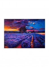 Vintage Abstract Oil Art Canvas Painting Multicolour 70x50centimeter