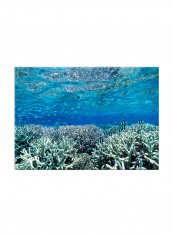 Underwater Canvas Painting Blue 70x50centimeter