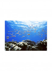 Underwater Canvas Painting Blue 70x50centimeter