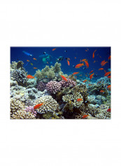 Underwater Canvas Painting Blue 70x50centimeter