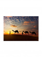 Caravan In Desert On Canvas Painting Multicolour 70x50centimeter