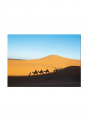 Shadow Of Caravan In Desert On Canvas Painting Multicolour 70x50centimeter